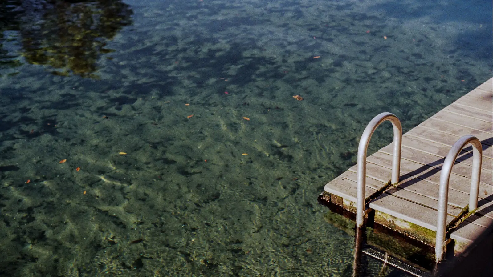 Wooden swim dock and ladder over the clear spring water at Wekiwa Springs near Apopka