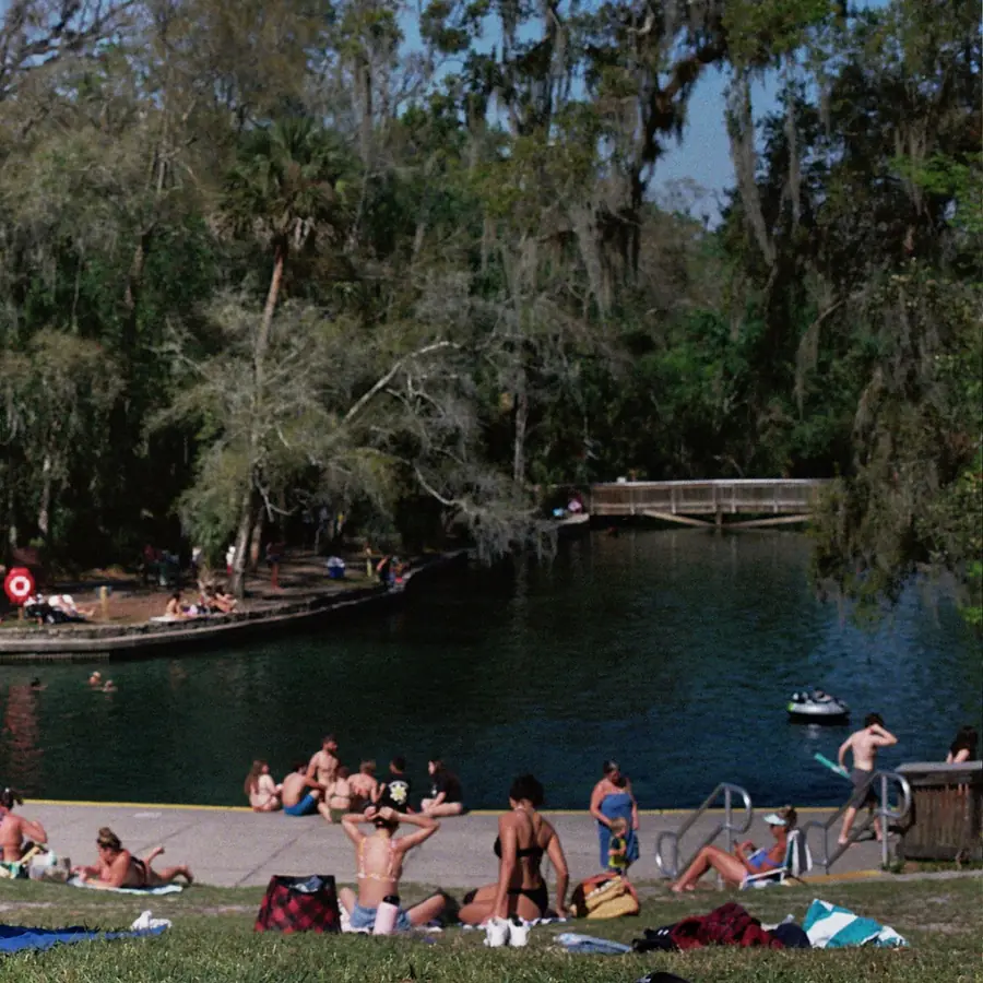 Families swimming and relaxing around the spring at Wekiwa Springs State Park near Apopka