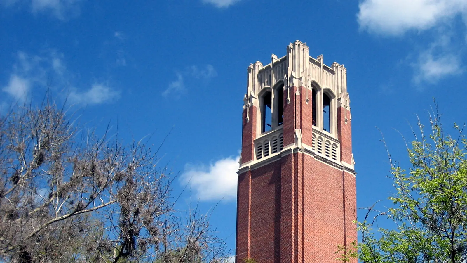 Century Tower on the University of Florida campus in Gainesville