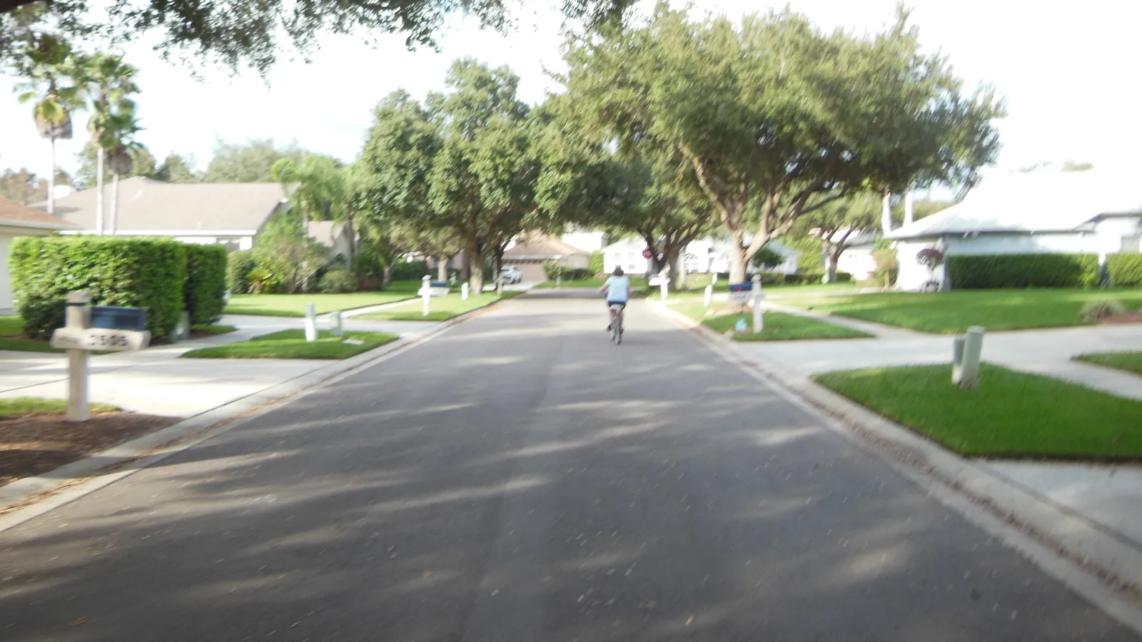 A person riding a bike on a tree-lined street in the River Hills area of Valrico, Florida