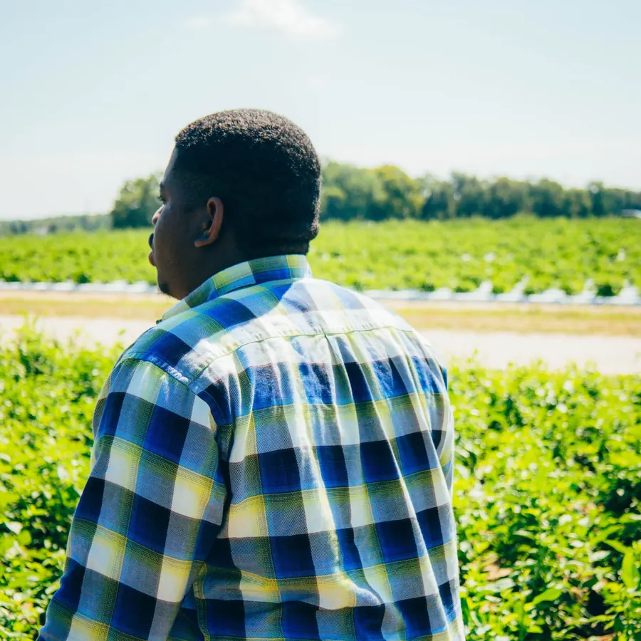 Farmer in a plaid shirt looking out over a green field