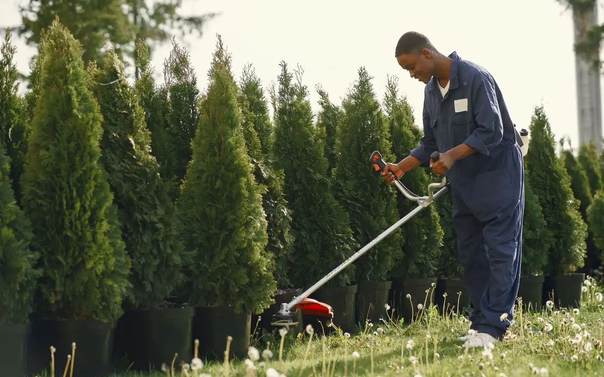 Smiling groundskeeper in work coveralls trimming grass with a string trimmer beside a row of evergreens